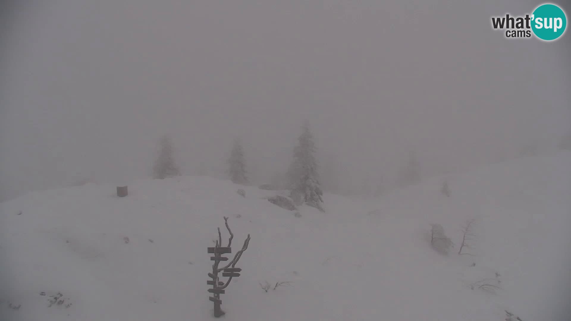 Velika Planina | Gradišče