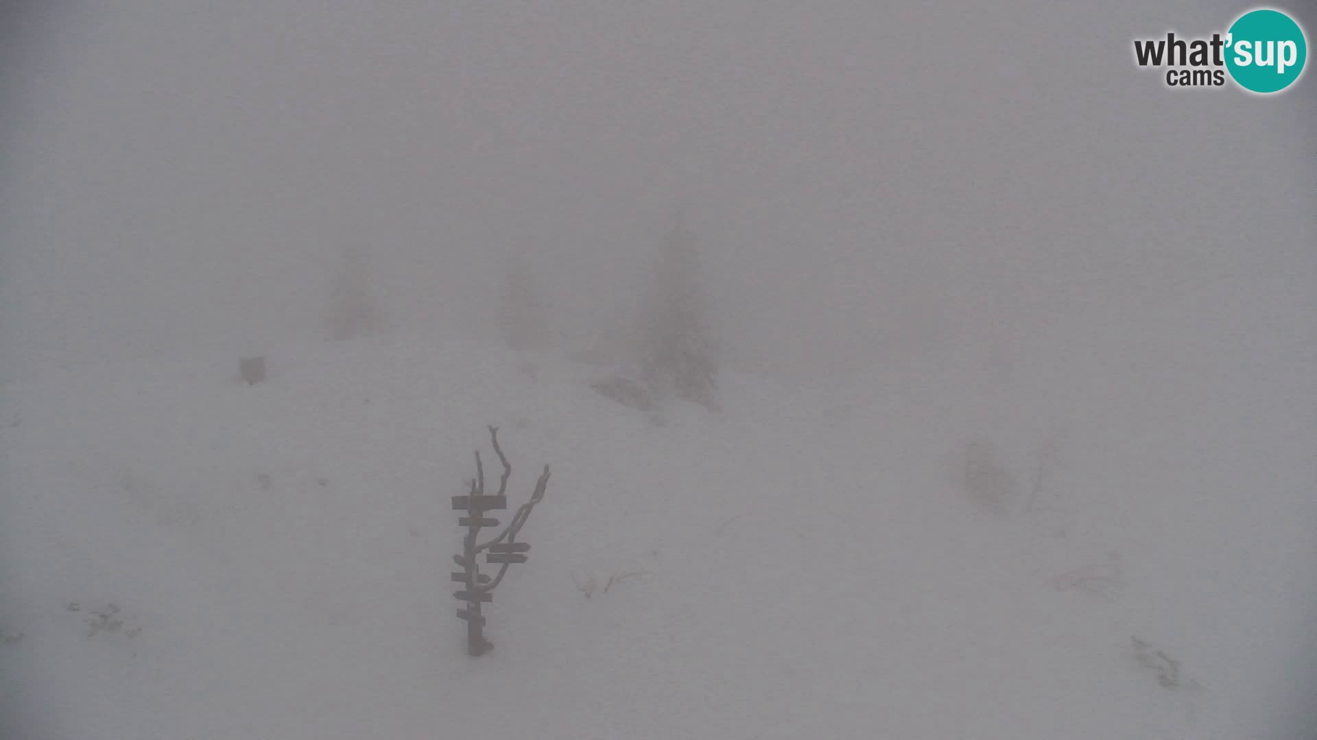 Velika Planina | Gradišče