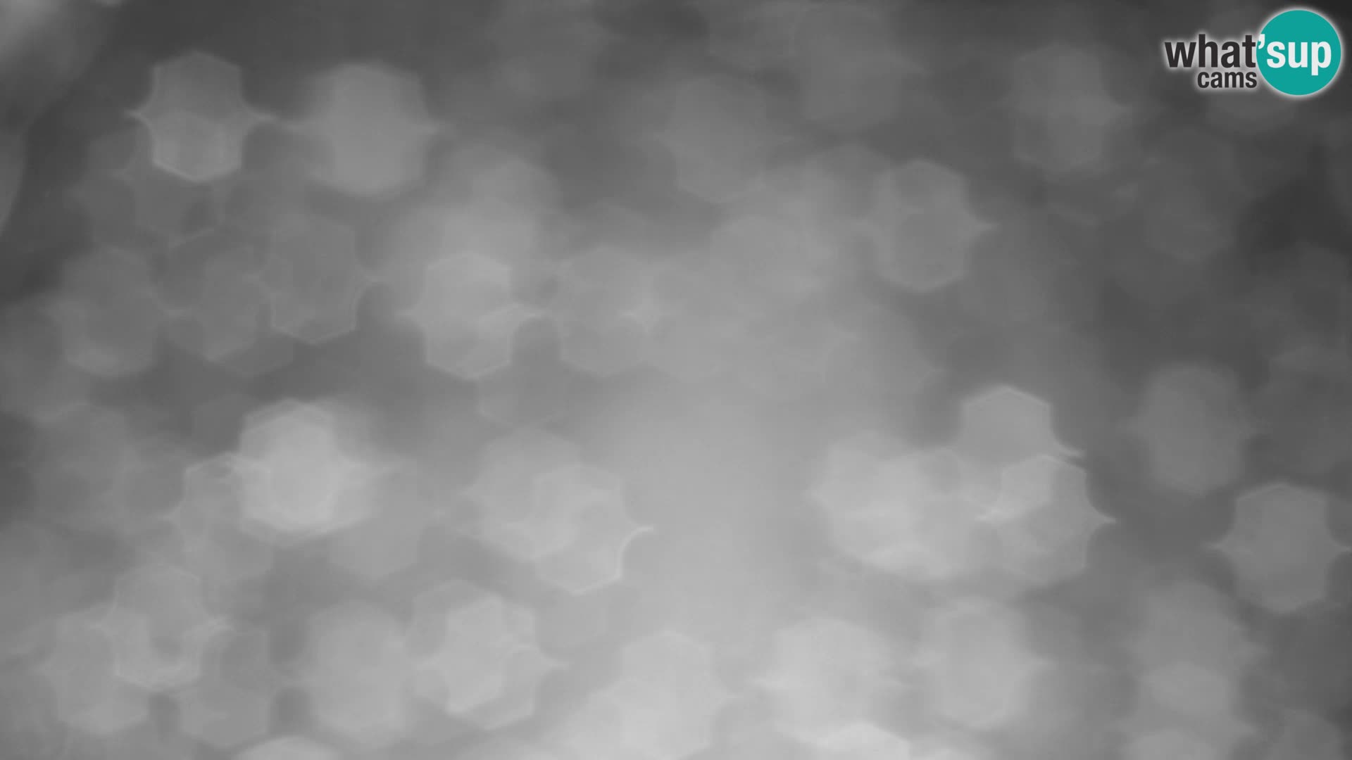 Velika Planina | Gradišče