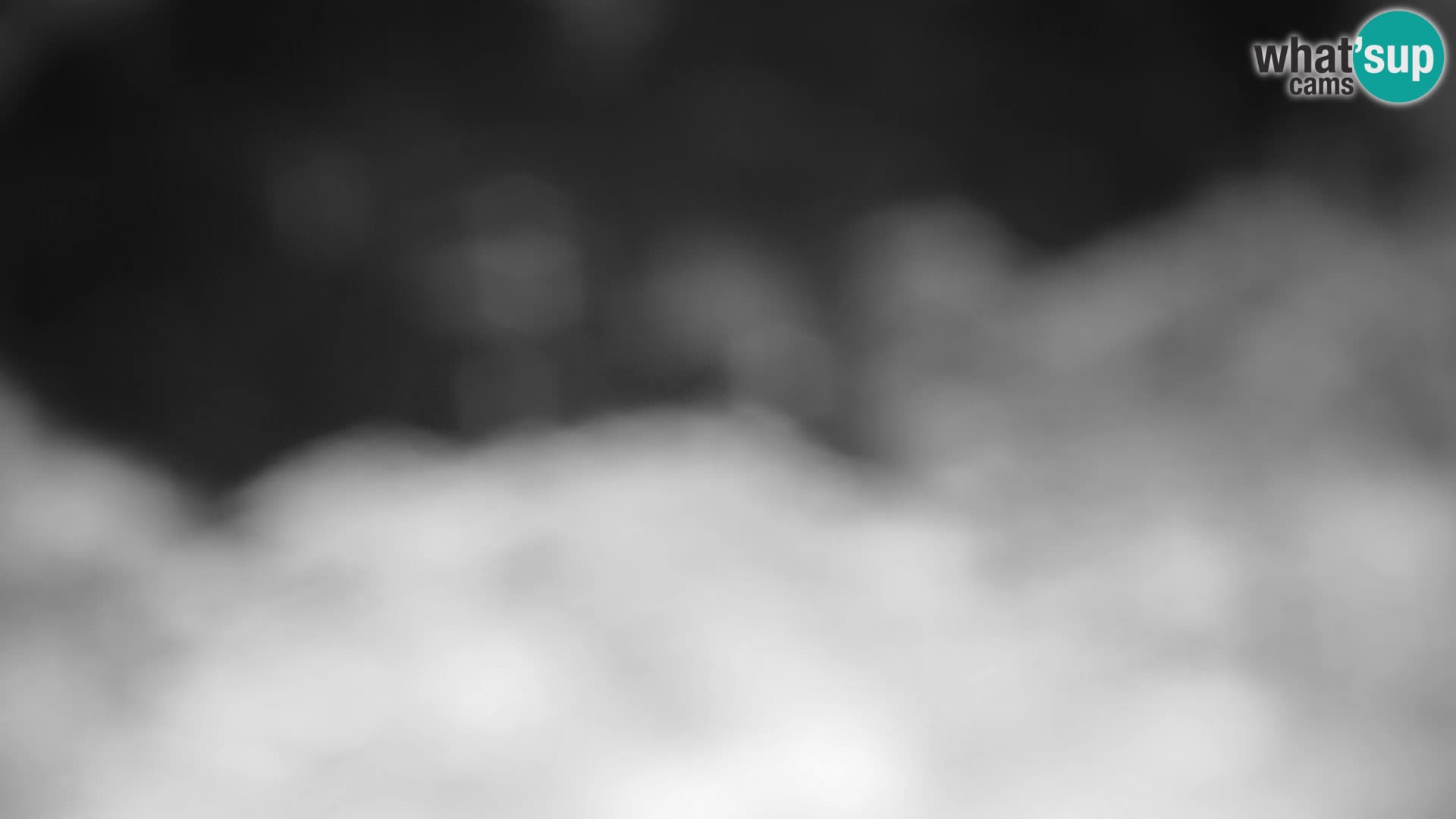 Velika Planina | Gradišče