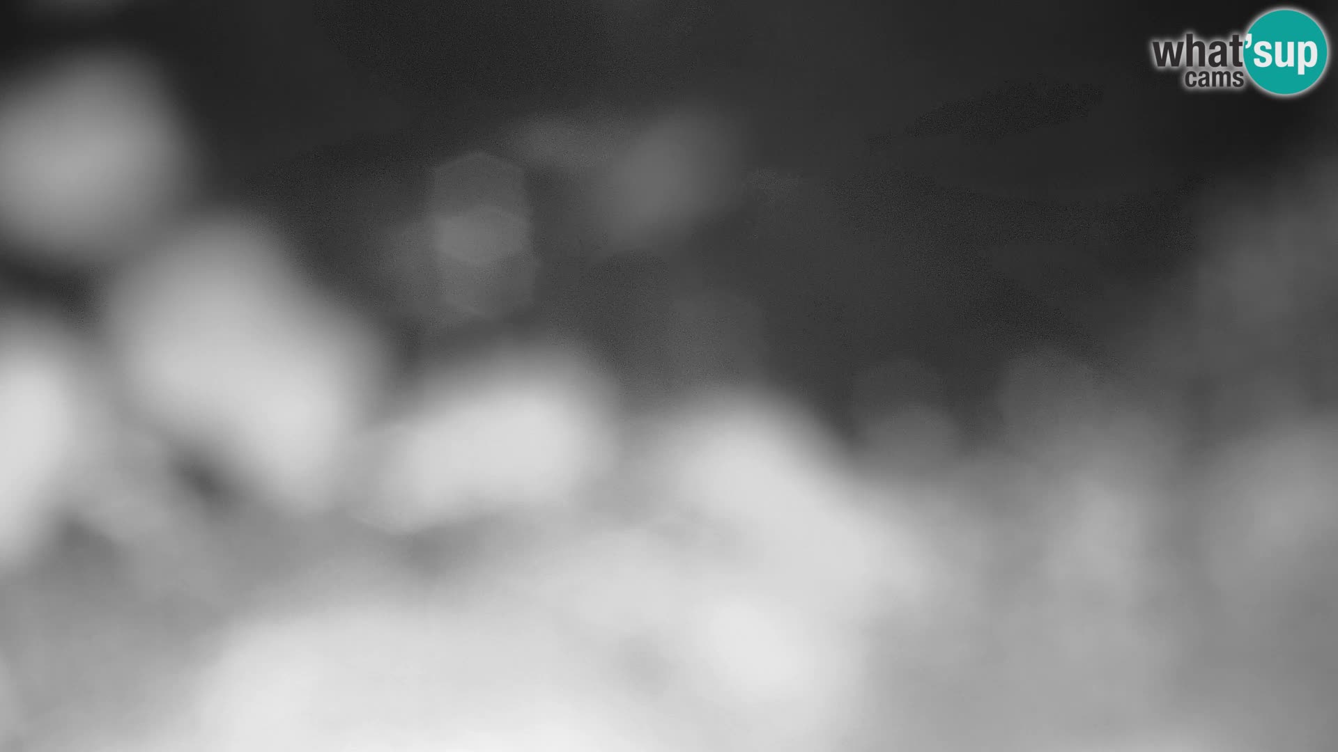 Velika Planina | Gradišče