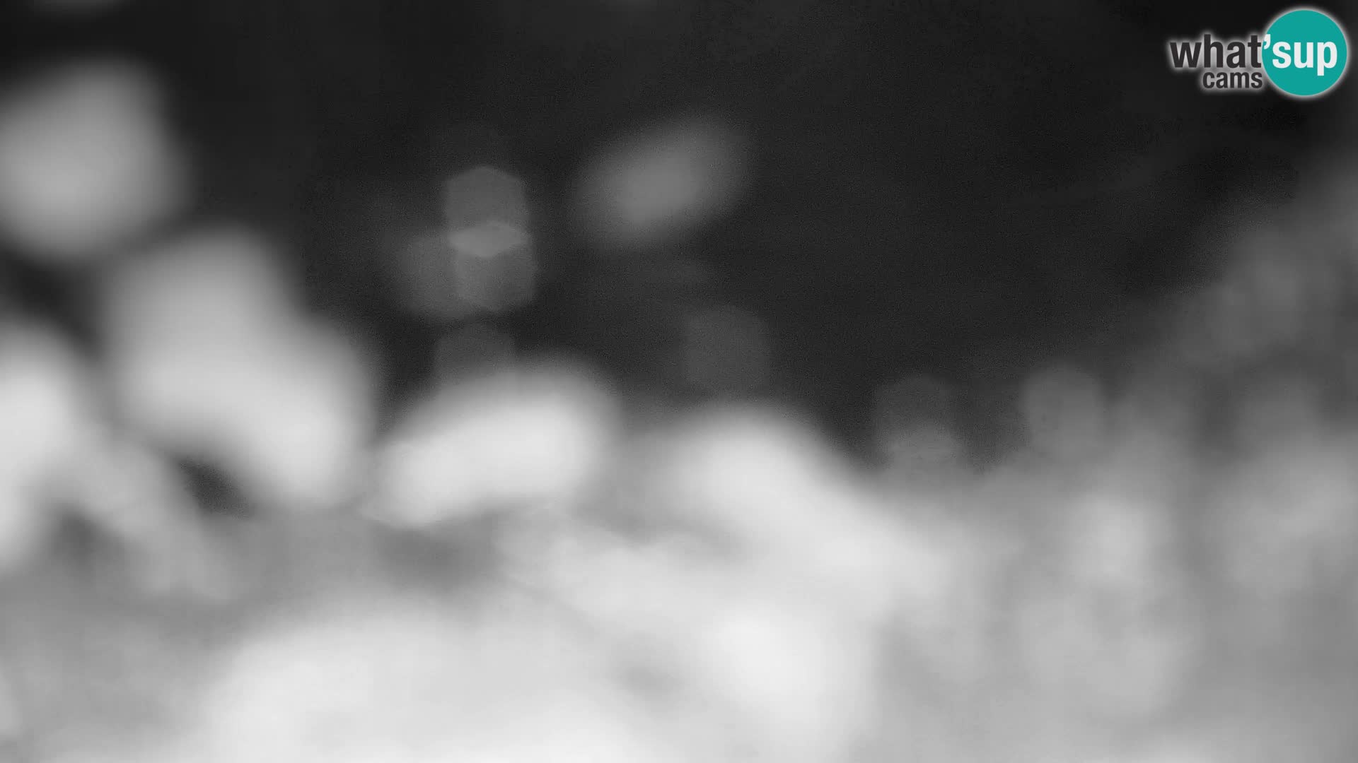 Velika Planina | Gradišče