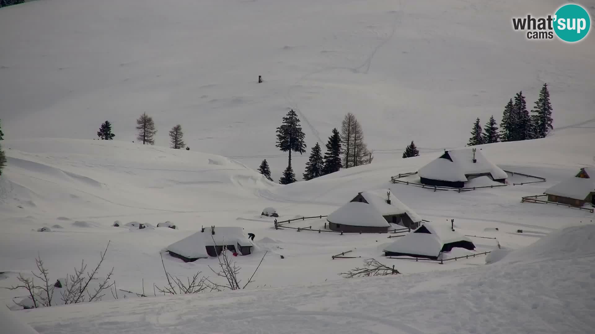 Velika Planina | Gradišče