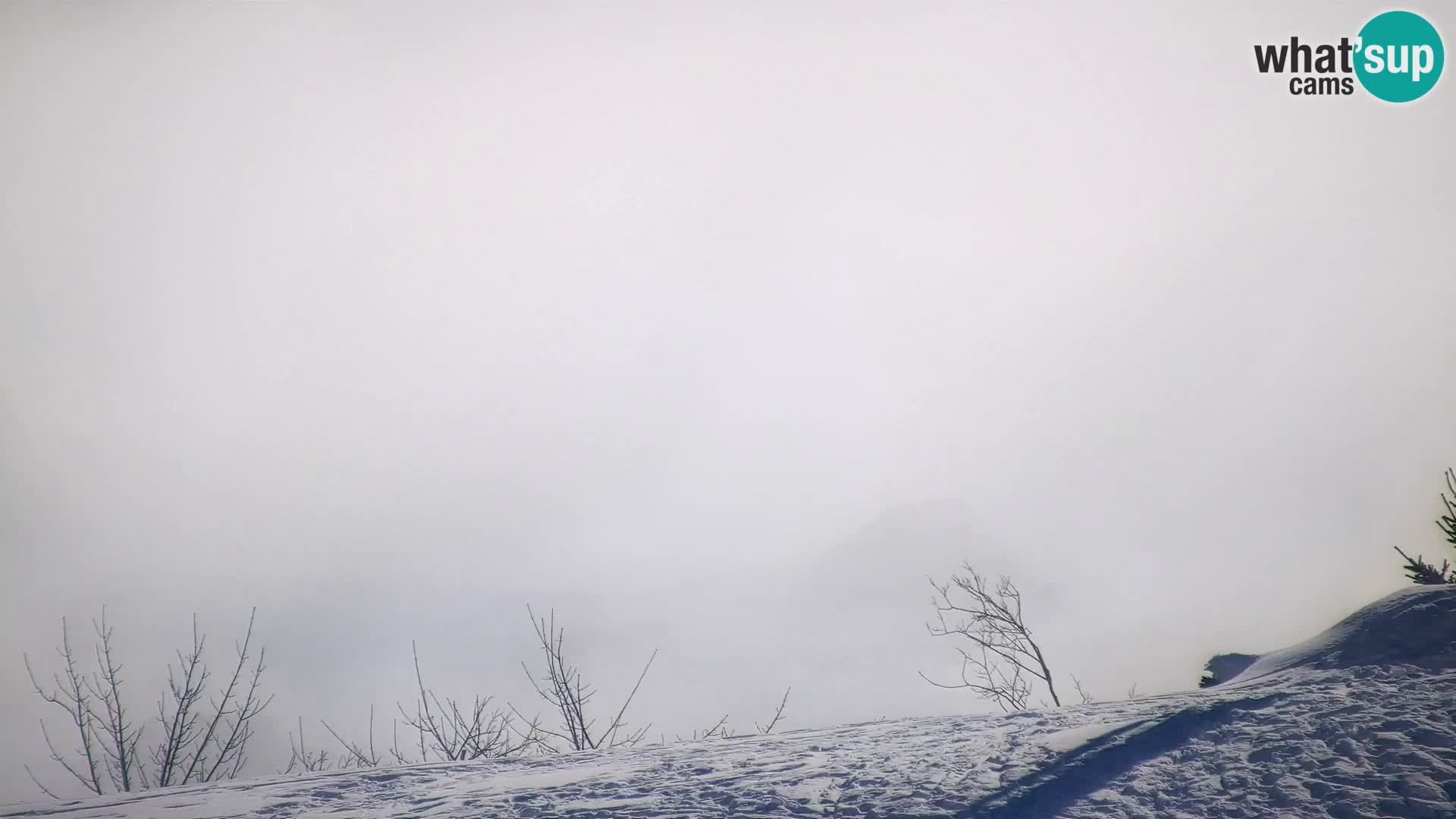 Velika Planina | Gradišče