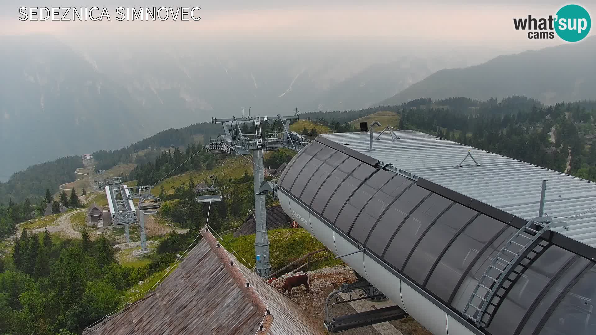 Velika Planina | Gradišče