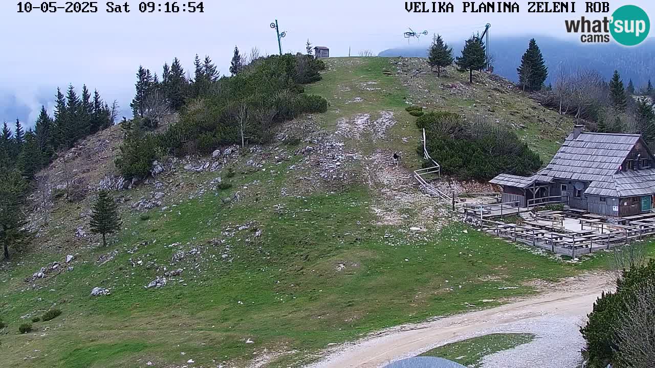 Webcam Live Velika Planina
