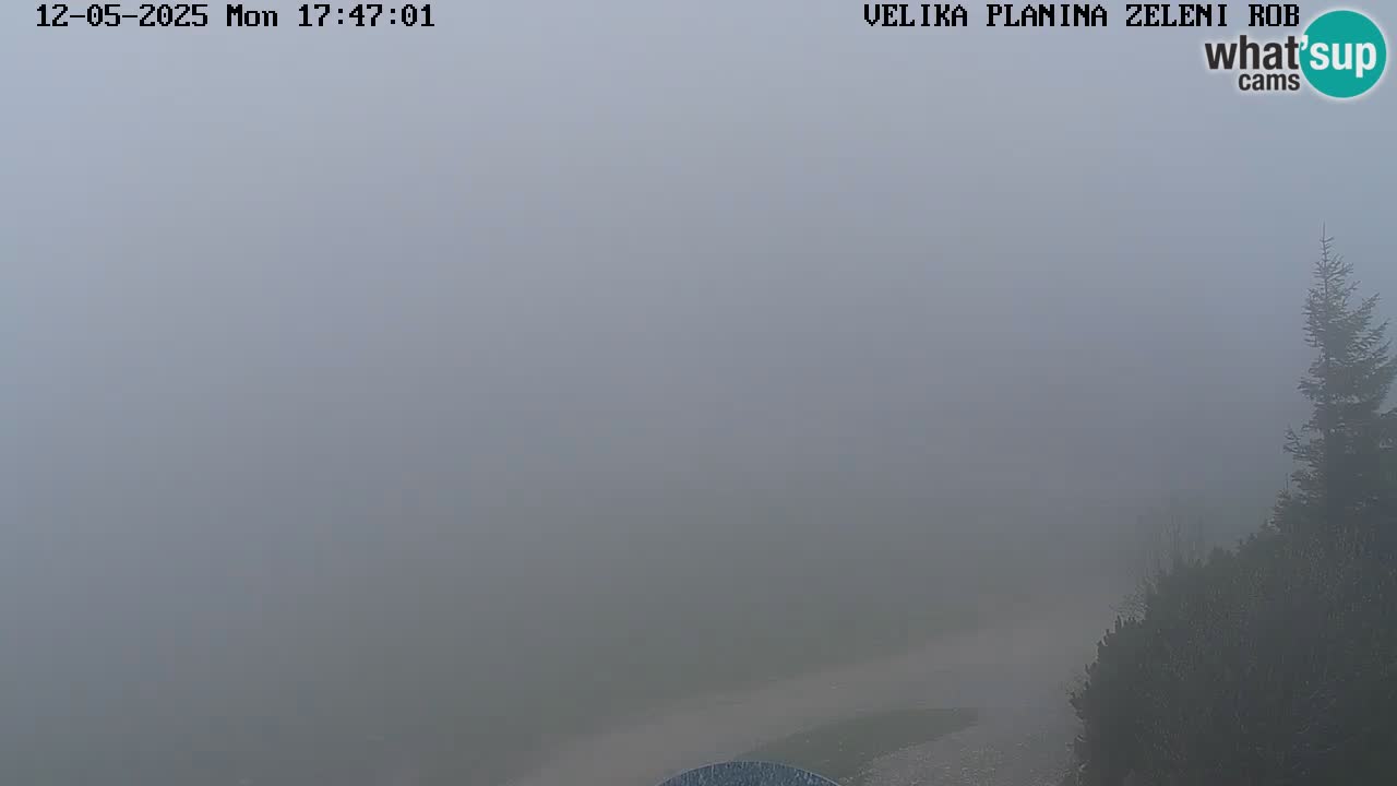 Zeleni Rob – kamera v živo | Velika Planina