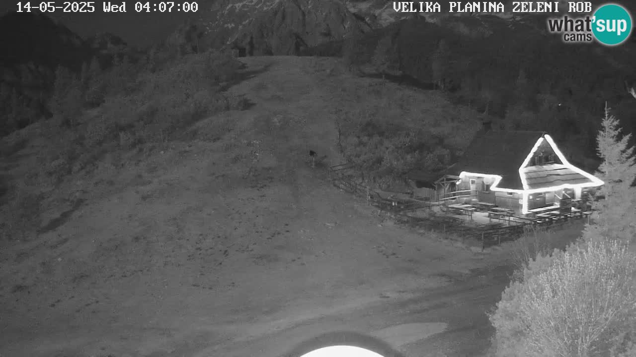 Zeleni Rob – kamera v živo | Velika Planina