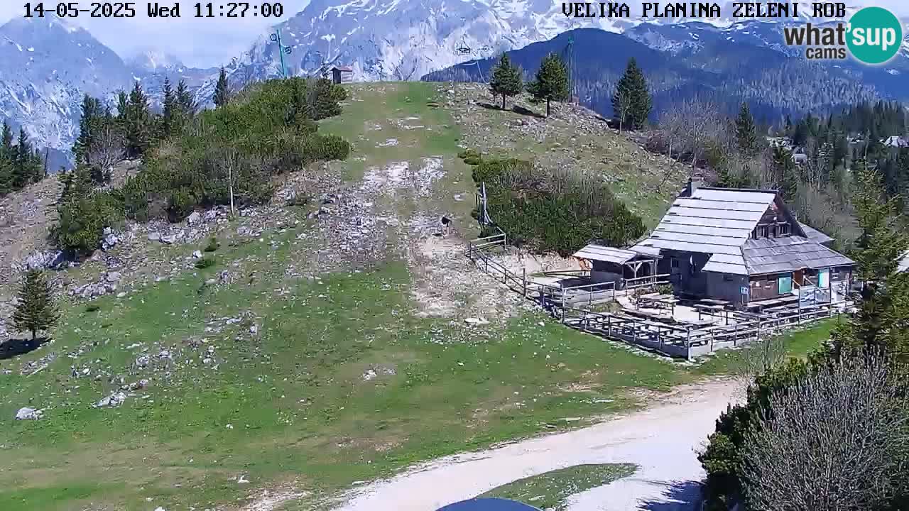 Kamera u Živo Velika Planina
