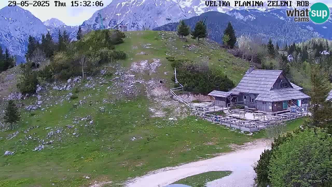 Zeleni Rob – kamera v živo | Velika Planina