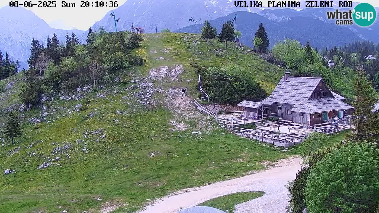Live Kamera Velika Planina