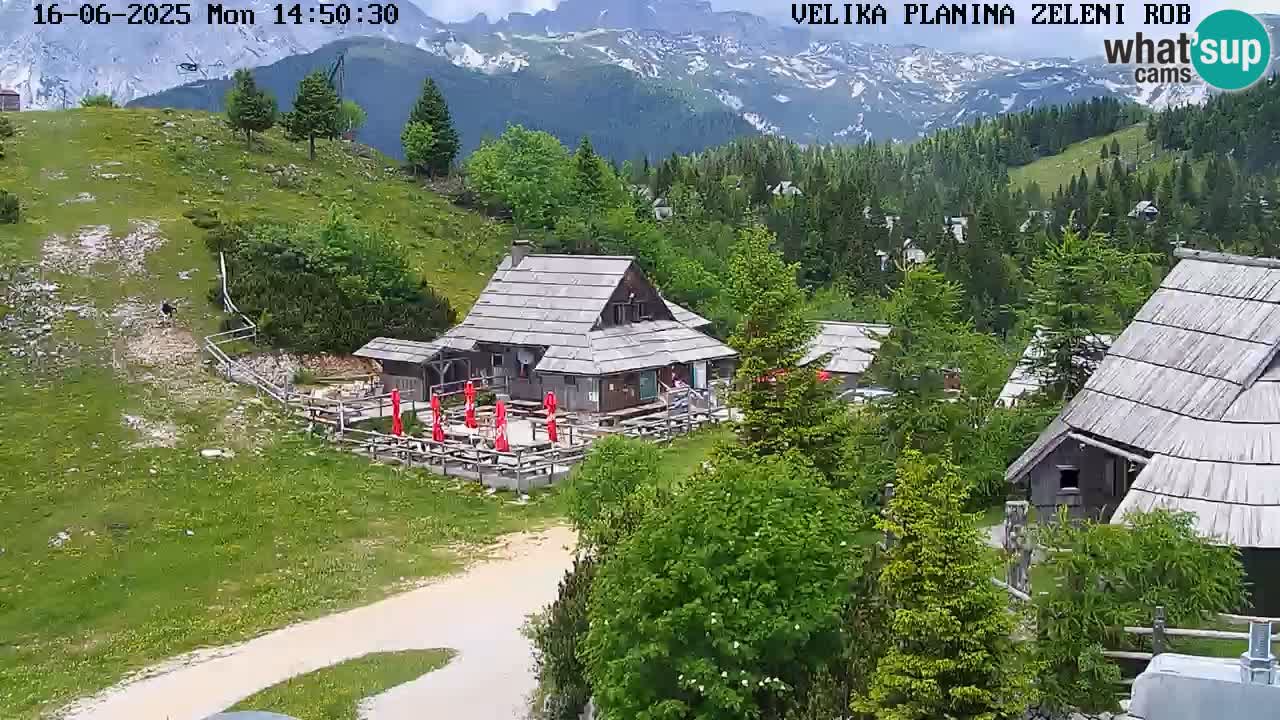 Kamera v živo Velika Planina