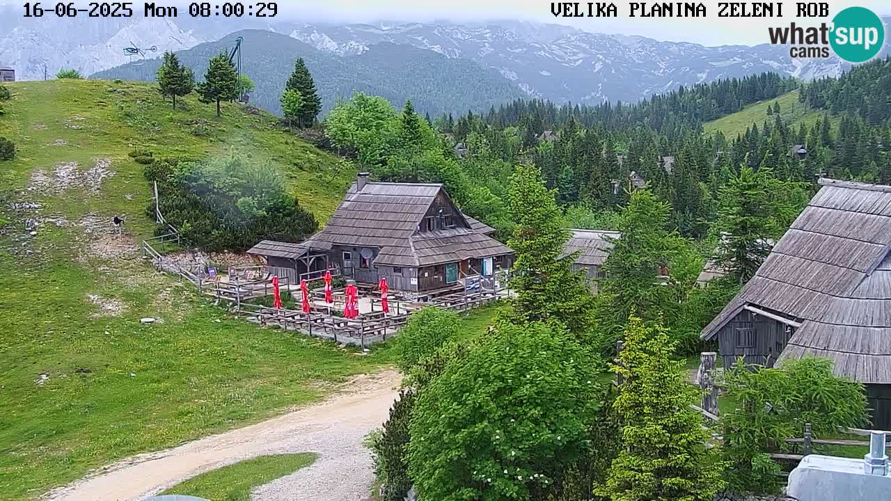Kamera u Živo Velika Planina