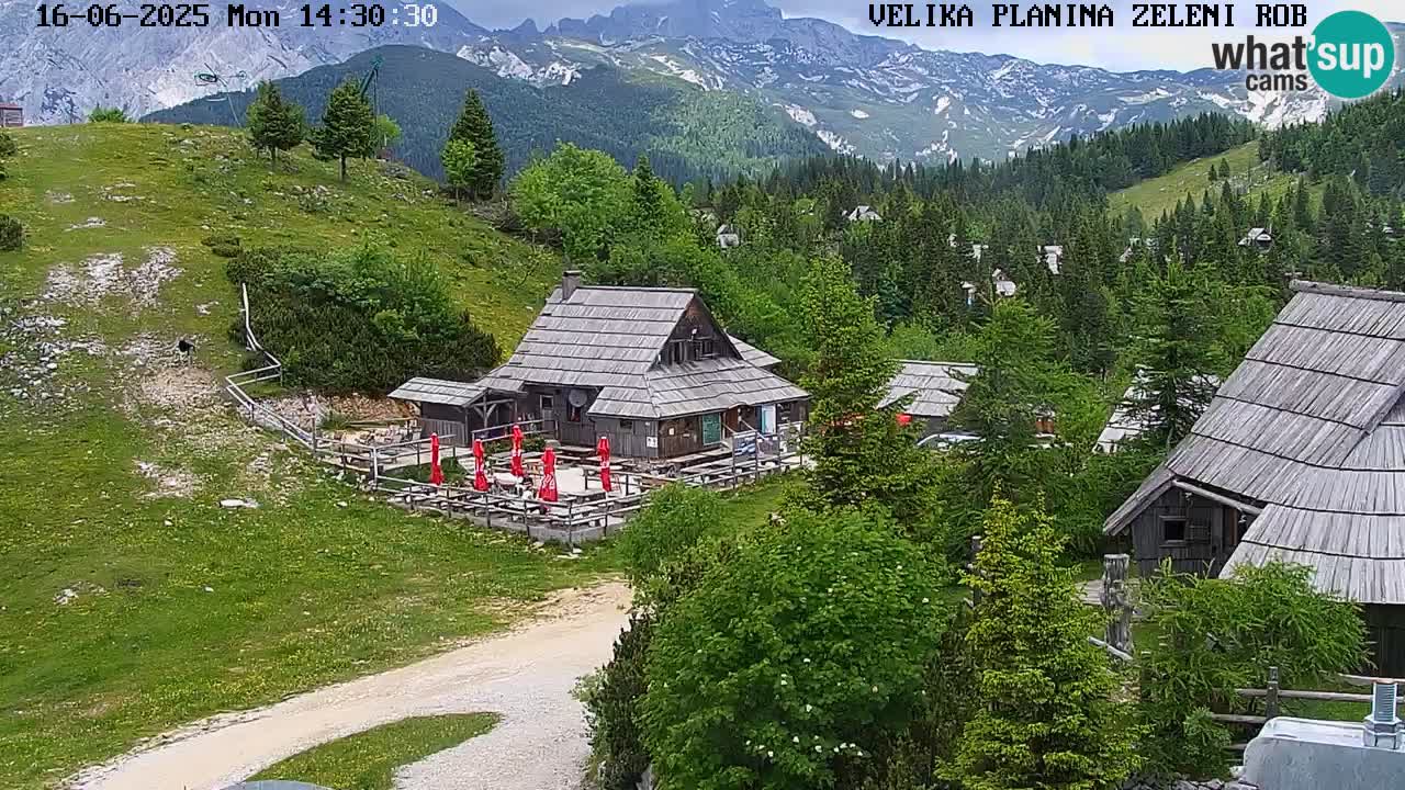 Kamera u Živo Velika Planina
