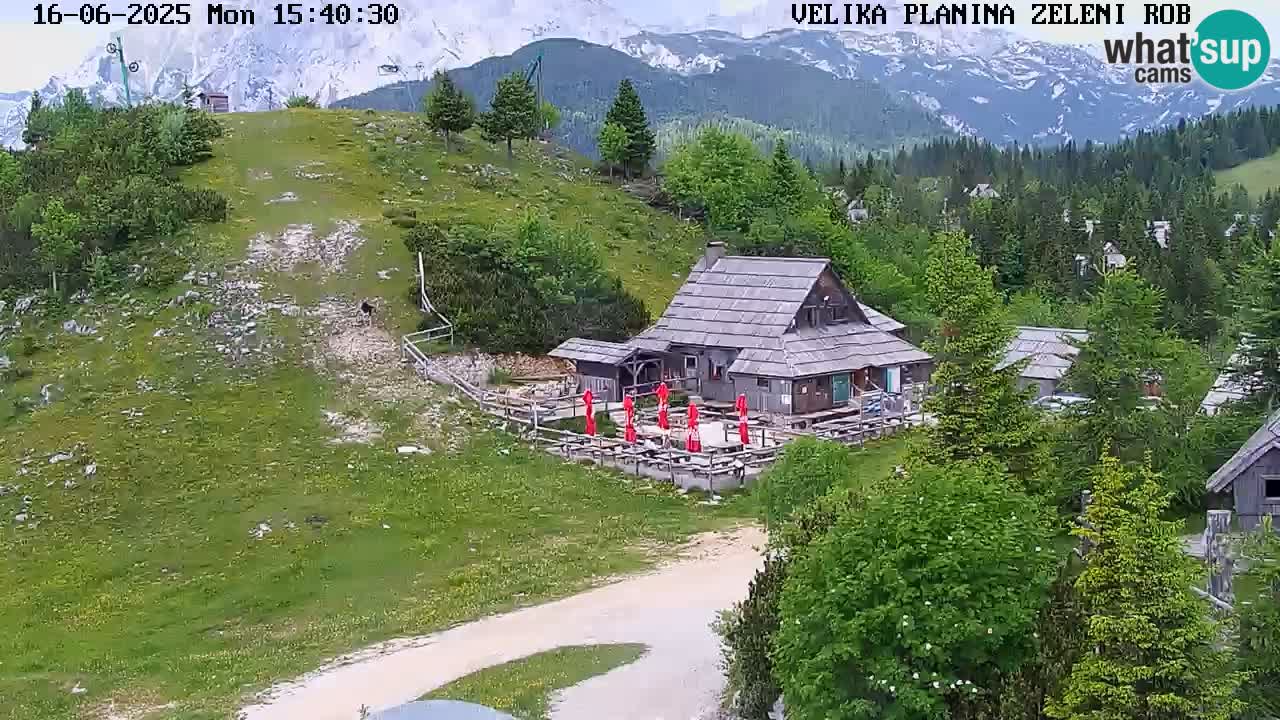 Kamera u Živo Velika Planina