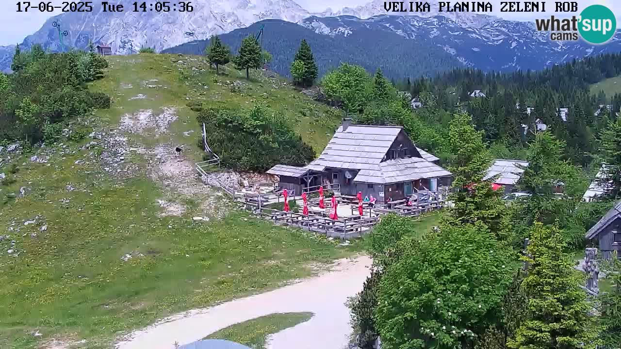 Zeleni Rob | Webcam en vivo Velika Planina