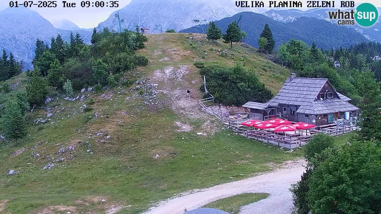 Zeleni Rob | Webcam live Velika Planina