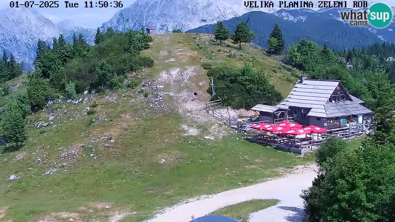 Kamera u Živo Velika Planina