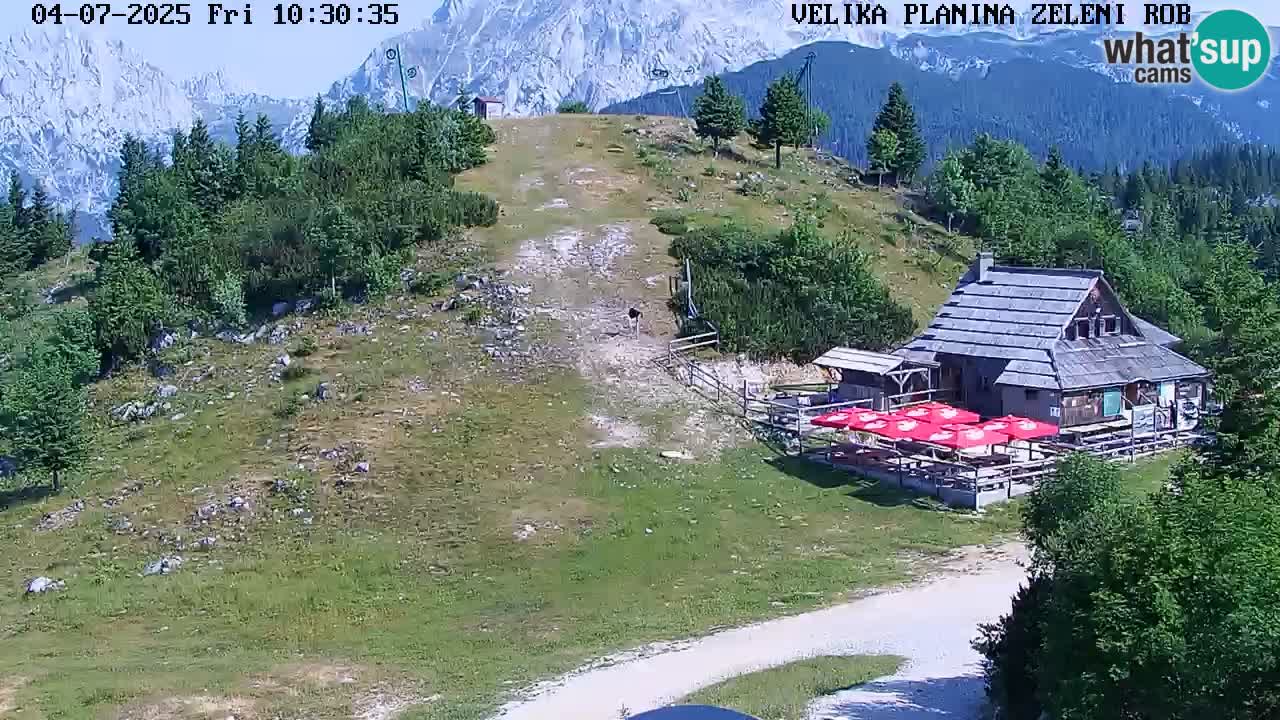 Webcam Live Velika Planina