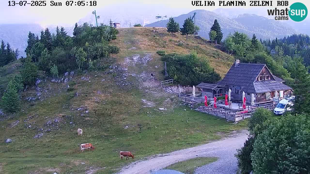 Webcam Live Velika Planina