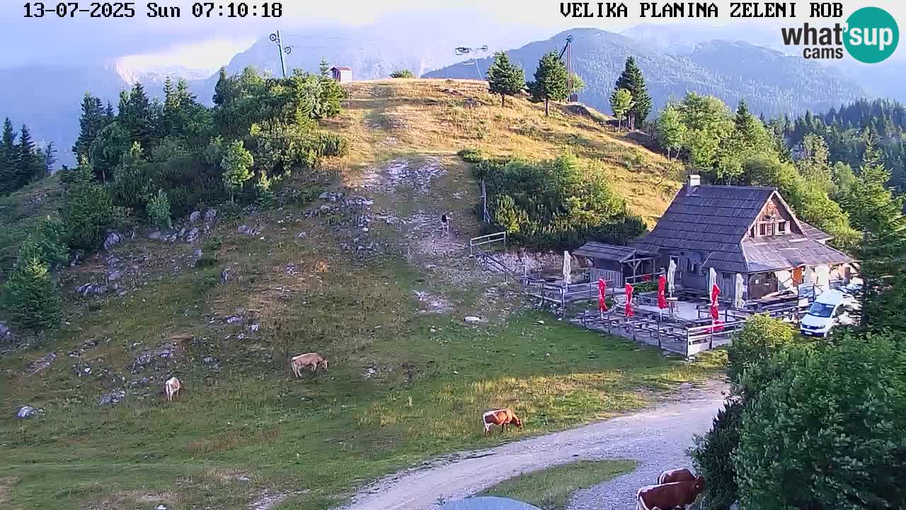 Kamera u Živo Velika Planina
