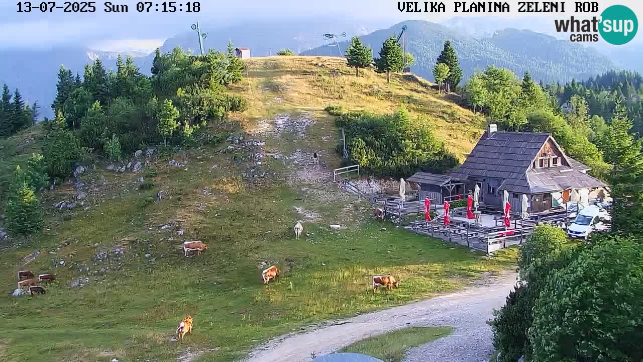 Live Kamera Velika Planina