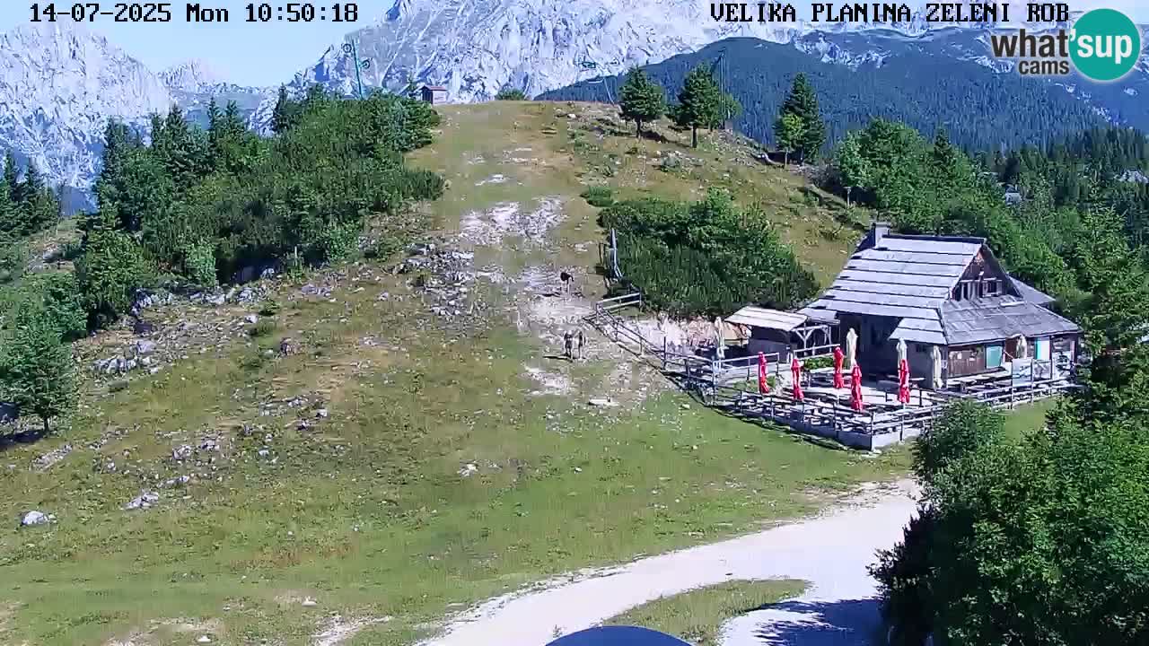 Webcam Live Velika Planina
