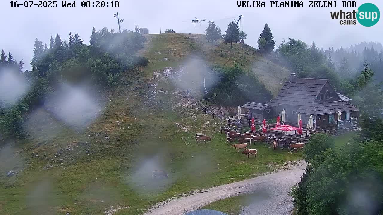 Kamera v živo Velika Planina