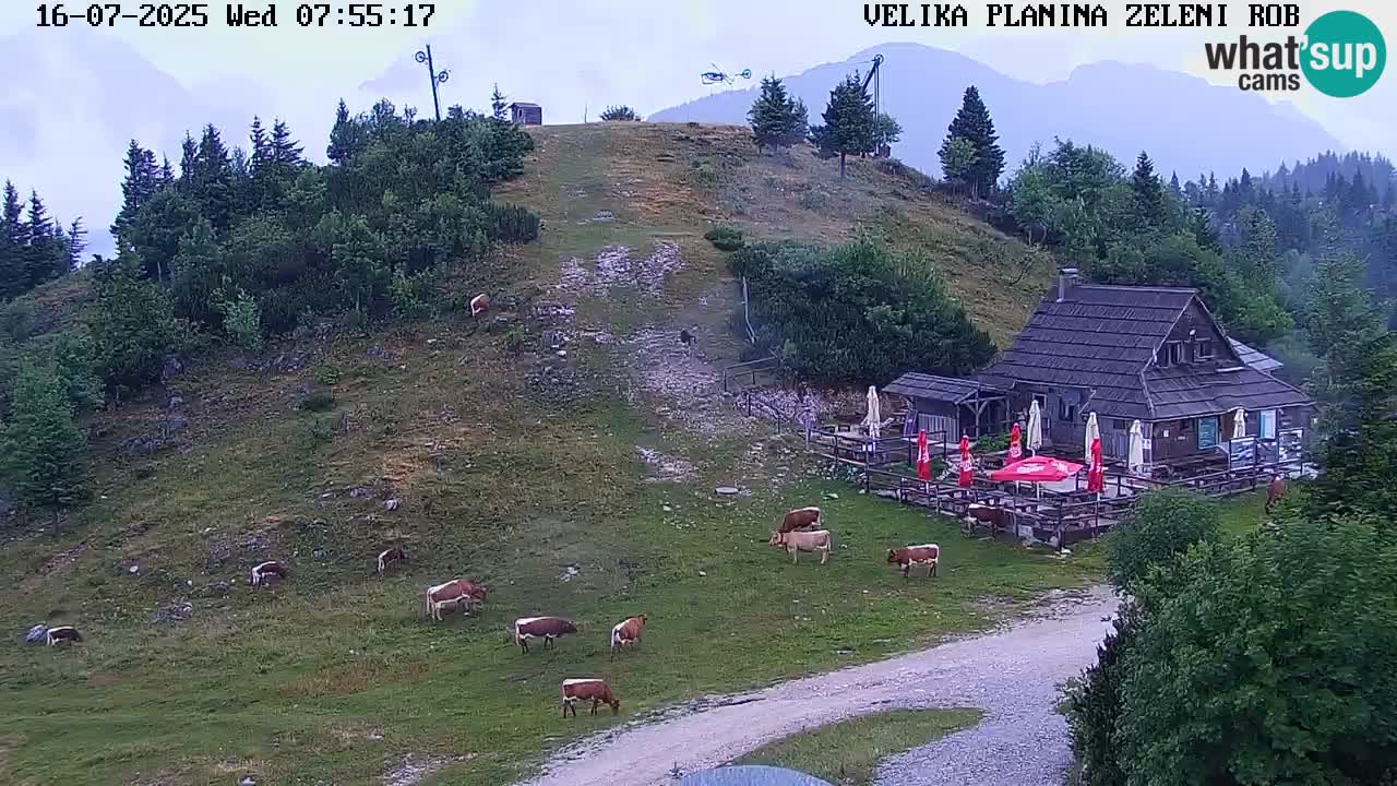 Zeleni Rob – kamera v živo | Velika Planina