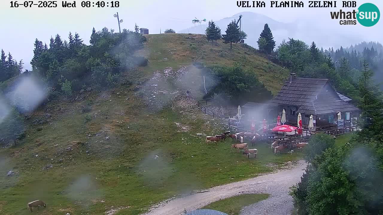 Kamera v živo Velika Planina
