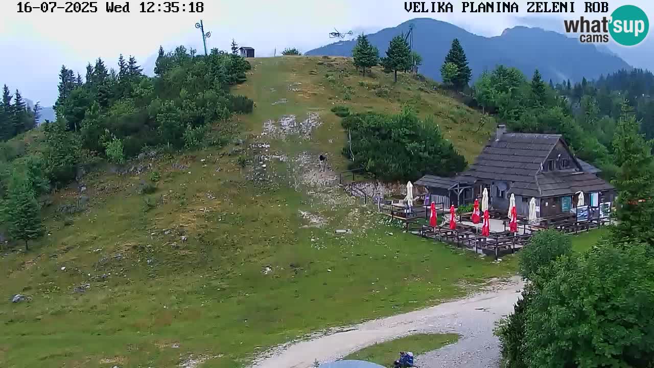 Webcam Live Velika Planina