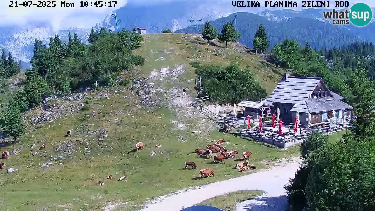 Zeleni Rob – kamera v živo | Velika Planina