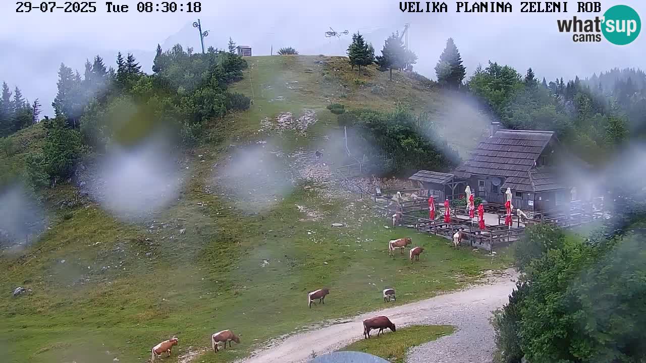 Zeleni Rob – Webcam live | Velika Planina