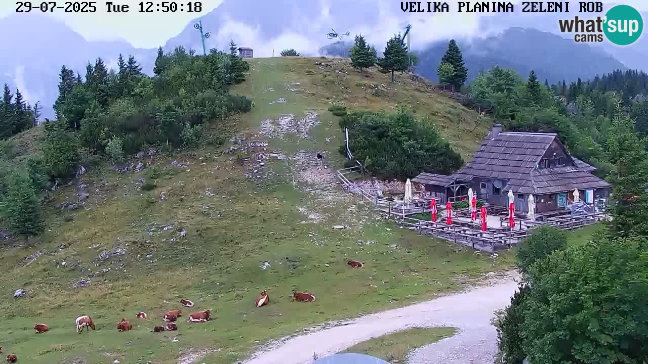 Zeleni Rob – Webcam live | Velika Planina