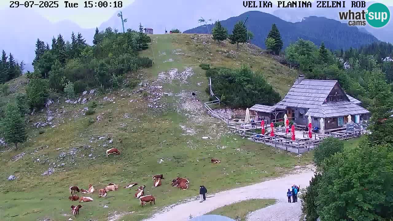 Zeleni Rob | Webcam live Velika Planina