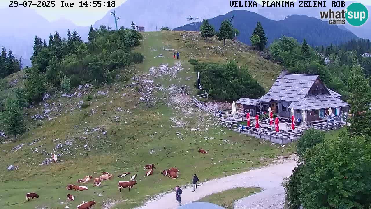 Zeleni Rob | Webcam live Velika Planina