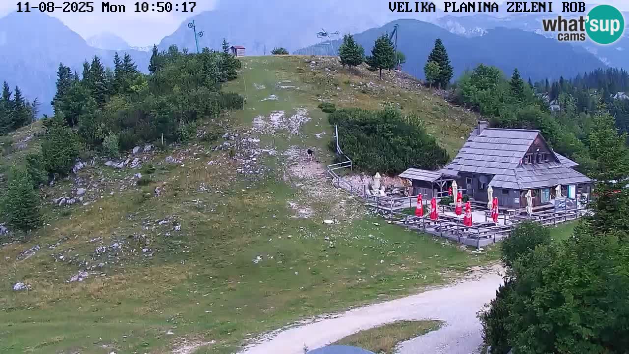 Zeleni Rob – kamera v živo | Velika Planina