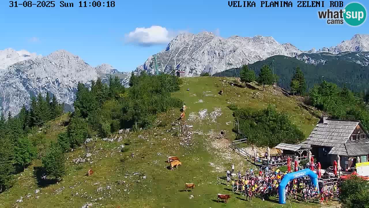 Zeleni Rob – kamera v živo | Velika Planina