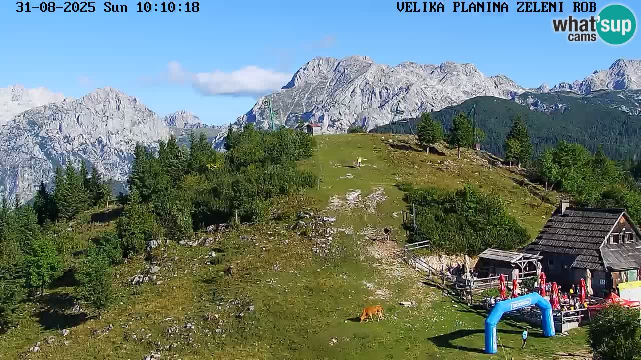 Zeleni Rob – kamera v živo | Velika Planina