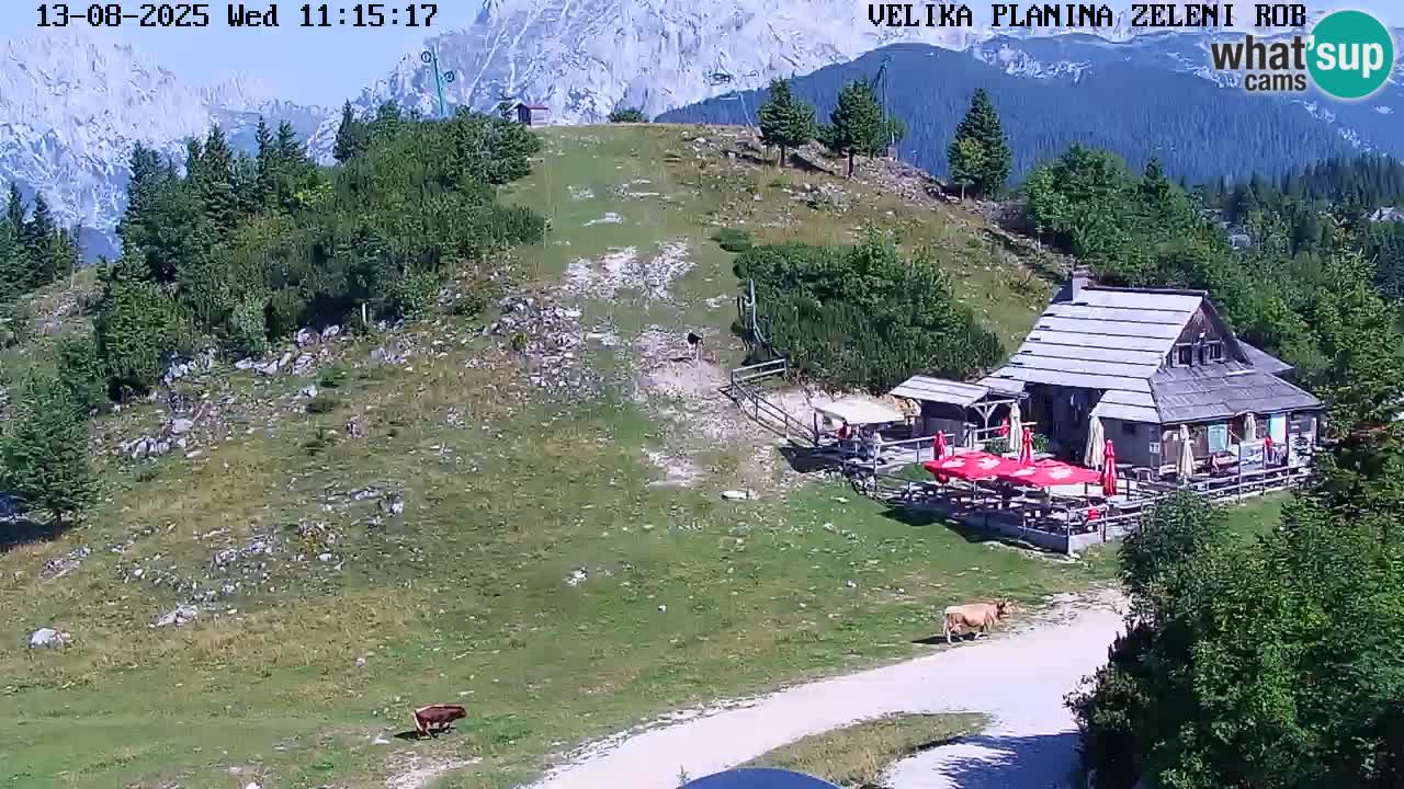 Zeleni Rob | Webcam live Velika Planina