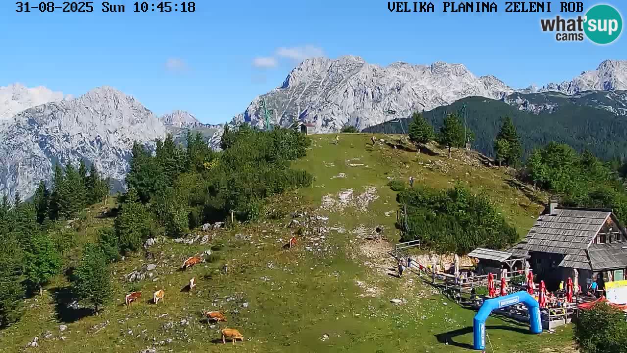 Zeleni Rob | Webcam en vivo Velika Planina