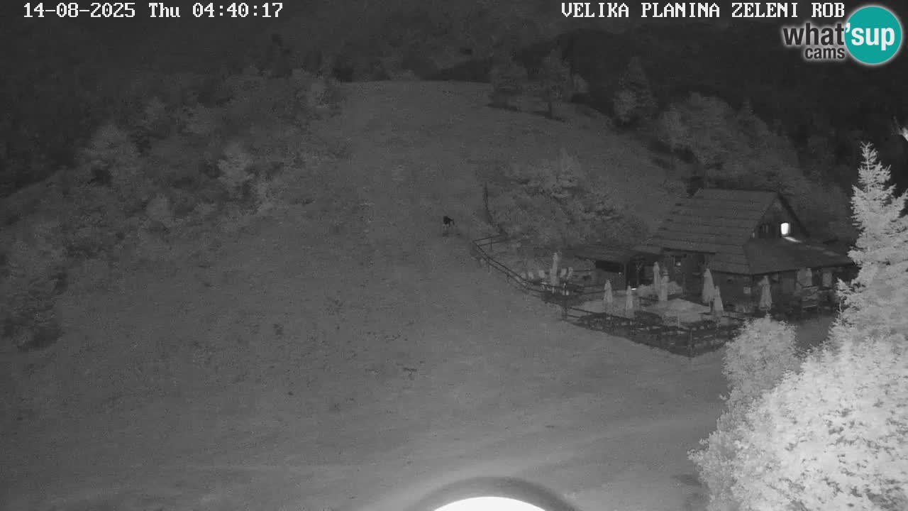 Zeleni Rob | Webcam live Velika Planina