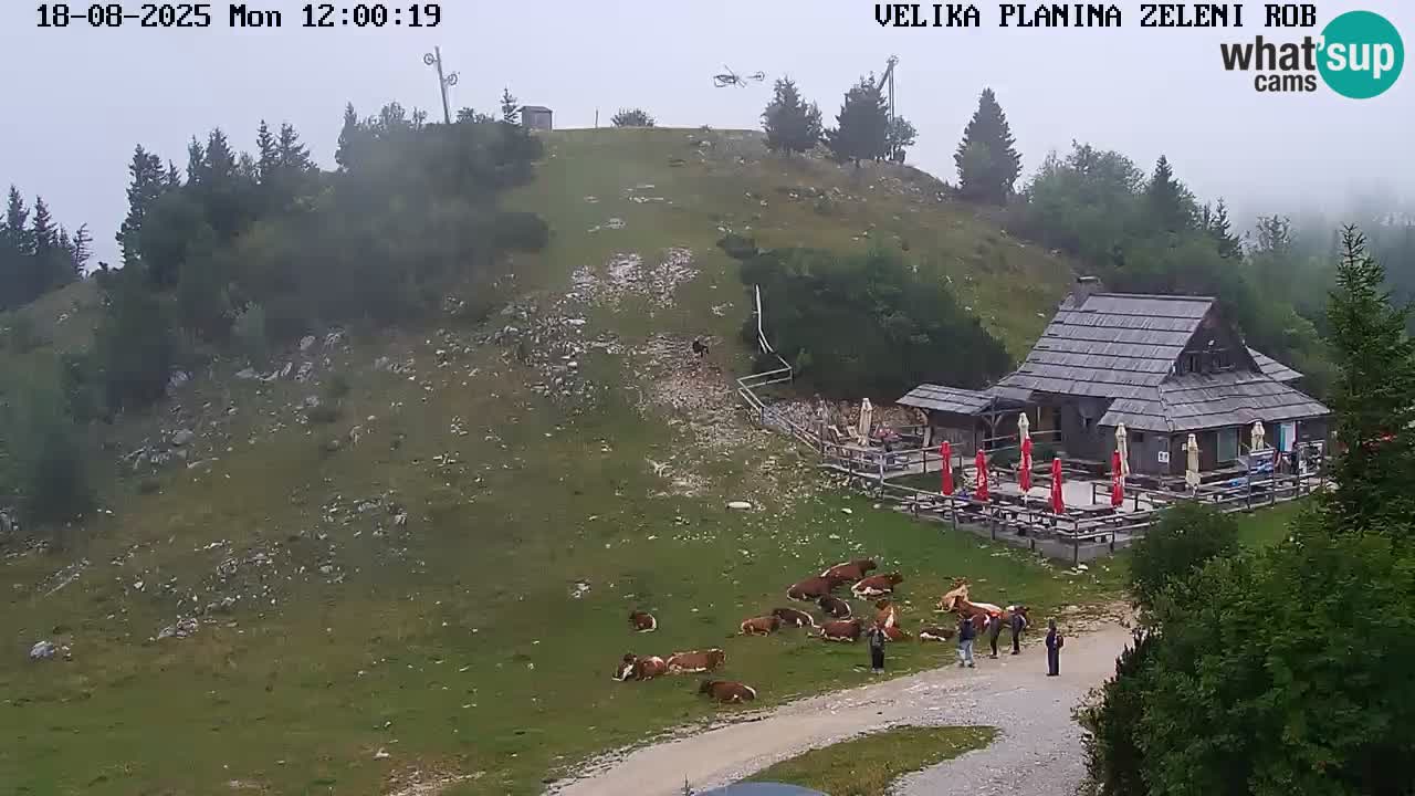 Zeleni Rob – kamera v živo | Velika Planina