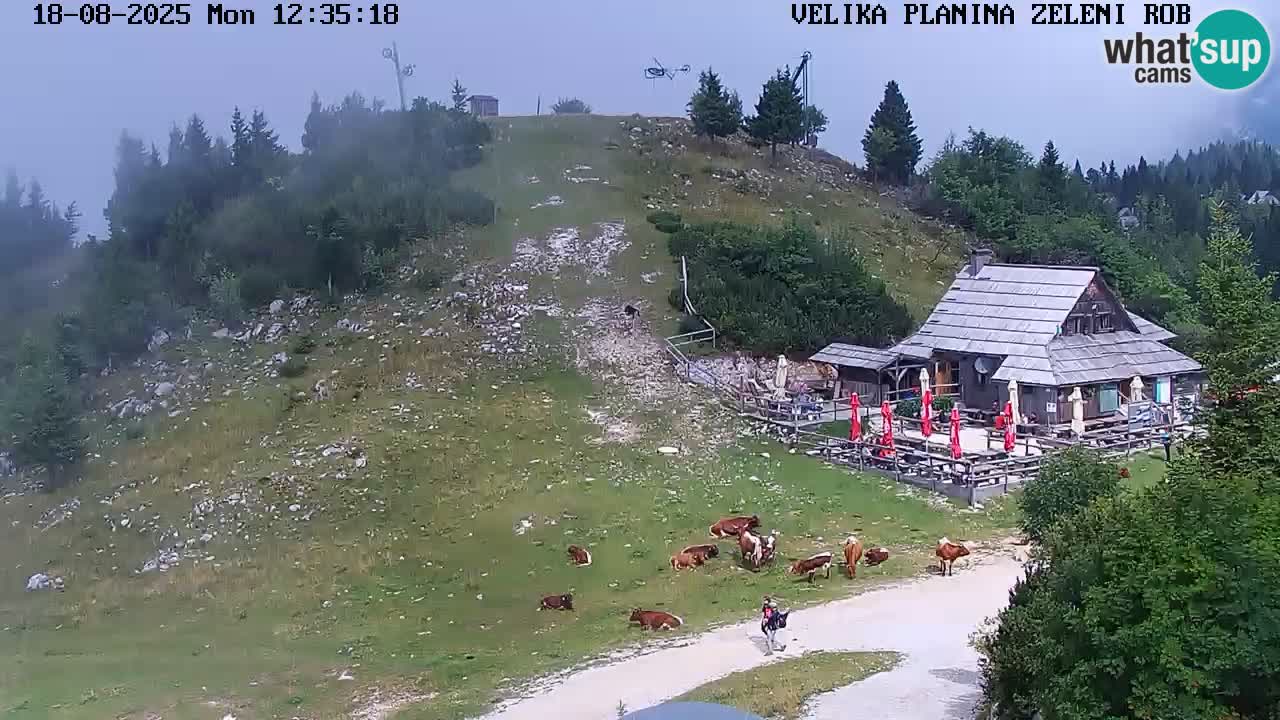 Zeleni Rob – Webcam live | Velika Planina