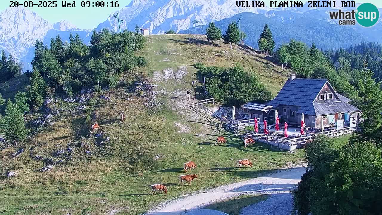 Zeleni Rob – kamera v živo | Velika Planina