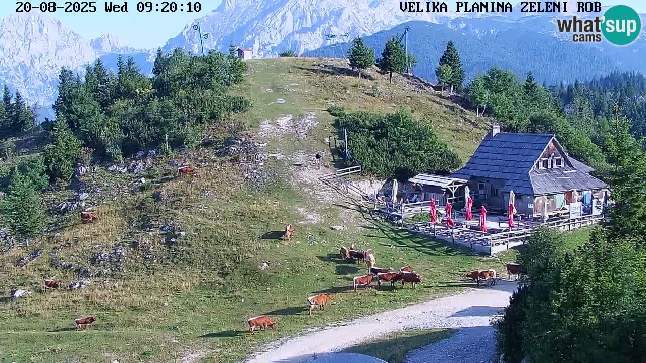 Zeleni Rob – kamera v živo | Velika Planina