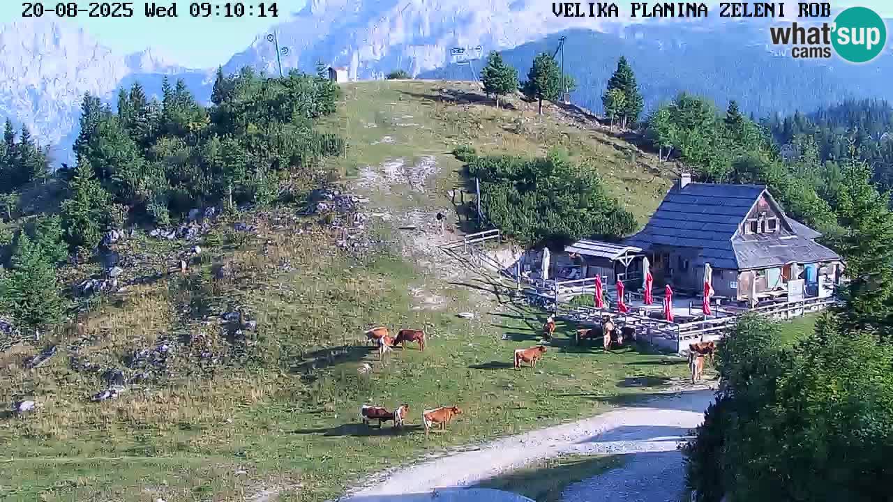 Zeleni Rob – kamera v živo | Velika Planina