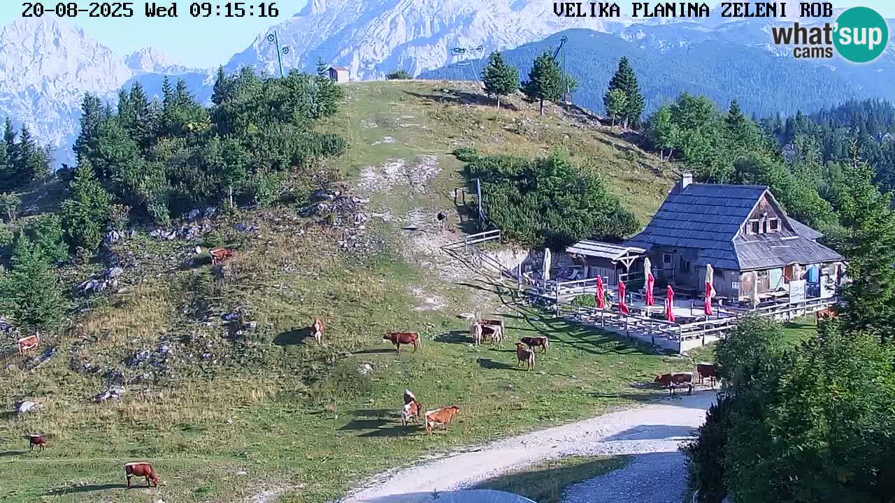 Zeleni Rob – kamera v živo | Velika Planina