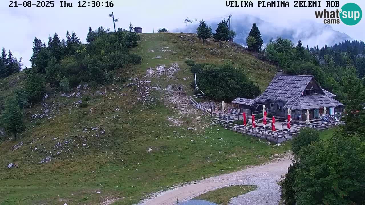 Zeleni Rob – kamera v živo | Velika Planina