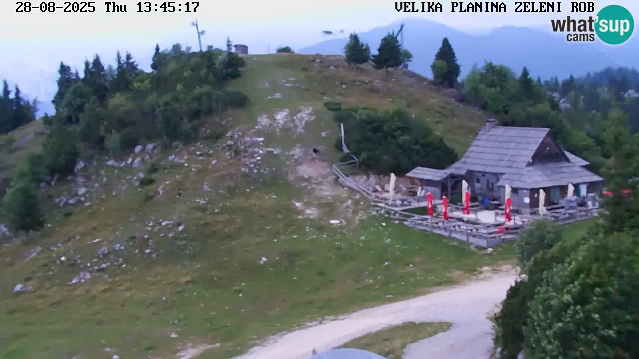 Zeleni Rob | Webcam en vivo Velika Planina